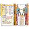 MDpocket California State University Monterey Bay Physician Assistant - 2021