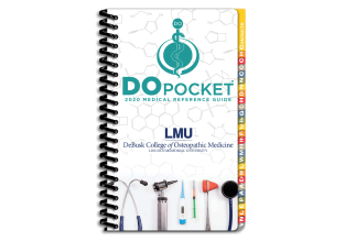 DOpocket Lincoln Memorial University - 2020