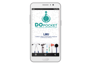 DOpocket Lincoln Memorial University eBook - 2020